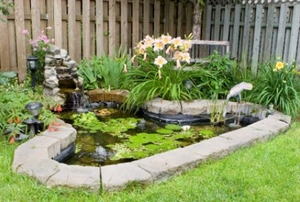 A backyard fish pond surrounded by foliage and grass.