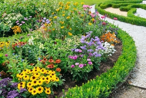 Garden with border