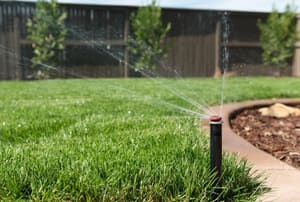 A sprinkler head watering a lawn.