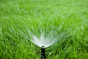 A sprinkler spraying water out over a lush, green lawn.