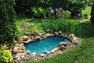 A backyard pond.