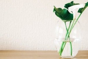 a white flower with broad leaves in a simple glass vase