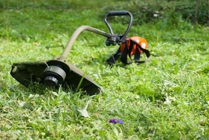 A weed wacker lies in the grass.