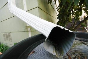 drainage