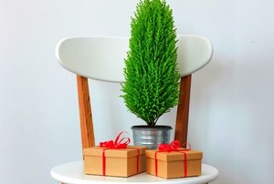 A small Christmas tree