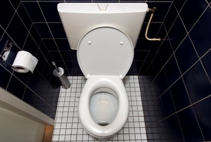 dual flush toilet