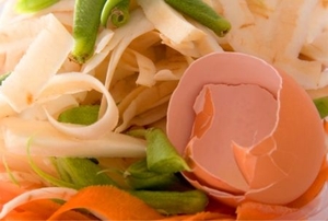 Food scraps for composting, vegetable peelings and egg shell.