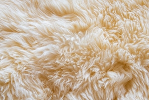 soft sheepskin rug