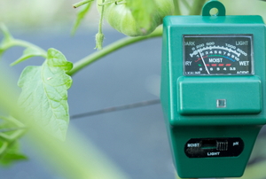 garden soil sensor near green plants
