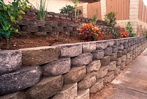 A retaining wall with flowers and plants.