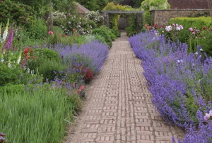 A garden pathway.