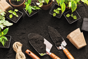 Gardening with tools, dirt, and plants
