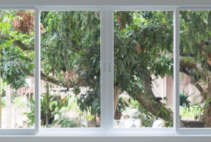 horizontal sliding windows in front of trees
