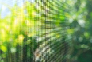 view of bushes through a screen