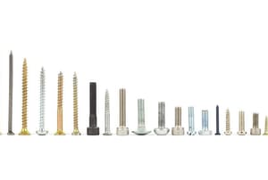 A line-up of screws and fasteners against a white background.