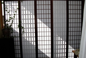 rice paper panels