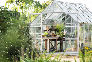 greenhouse in a yard