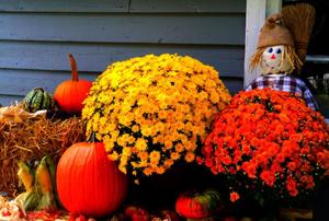 An arrangement of hay, pumpkins, and flowers, featuring a scarecrow.