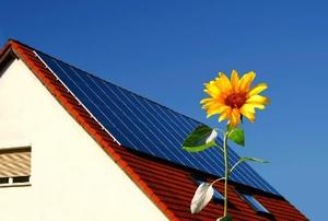 Solar panels steeply-sloping red roof with sunflower in foreground.