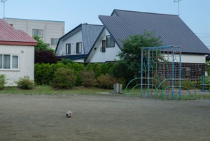An asphalt roll roof.