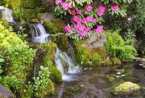 a bog with a waterfall and tropical flowers