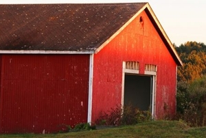 red barn in glowing sunlight