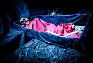 A skeleton rests in a coffin.