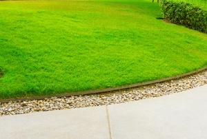 A well cared for lawn.