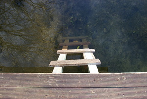 Wood ladder in the water off the side of a dock