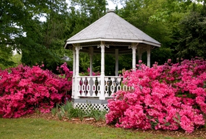 A gazebo next to pink flowers.