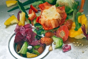Vegetable waste in the sink.