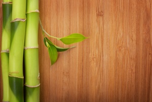 Bamboo Flooring