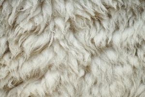 wool rug