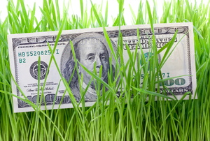 A $100 bill in some grass.