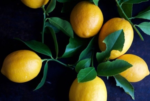 lemons on a branch