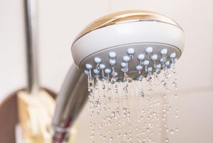 A close up on a shower head.