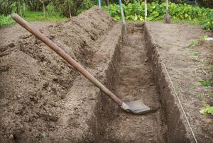 A trench with a shovel in a garden.