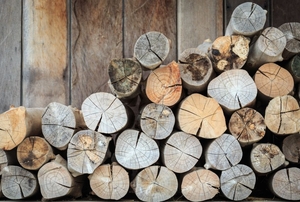 Logs in a row.