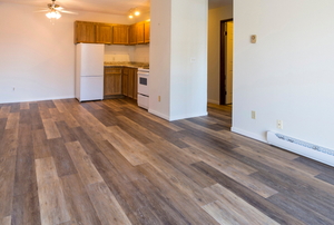 empty apartment with wood floor and baseboard heaters