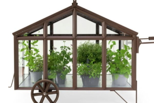 mini greenhouse on wheels
