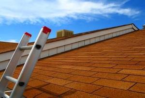 A light brown roof with a ladder leading up to it.