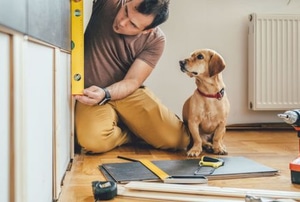 man with dog and tools doing home improvement