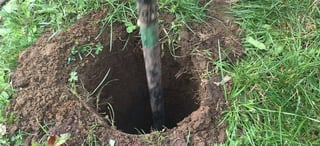 How to Install a Dry Well | DoItYourself.com