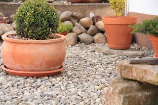 How to Design a Rock Garden | DoItYourself.com