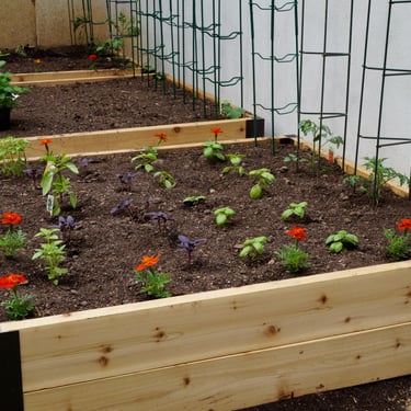 How to Plant a Square Foot Garden | DoItYourself.com