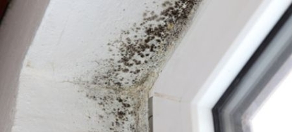 4 Home Remes For Mildew Odor Removal Doityourself There Are Diffe Mildew Odor Removal Methods That You Can Try Using Common Household Items With These Simple Home Remes Is No Longer Any Need