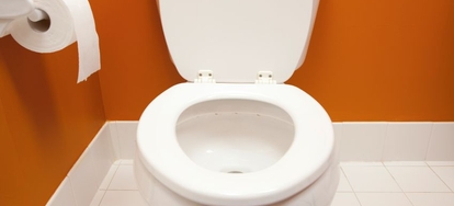 Toilet Tank is Leaking into Toilet Bowl: Possible Causes | DoItYourself.com