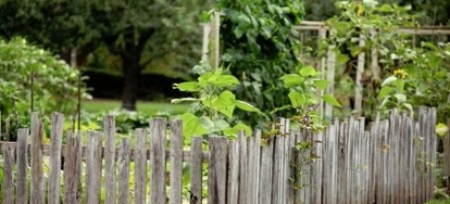 6 Inexpensive Ideas For Garden Fencing Doityourself 6 Inexpensive Ideas For Garden Fencing