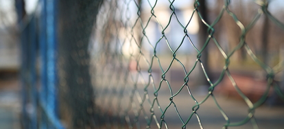 Make An Affordable Chicken Wire Fence Doityourselfcom