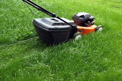 How To Adjust The Throttle Of Your Self Propelled Lawn Mower A Lawn Mower Cutting